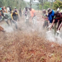 Appliquons de la dolomie pour la restauration de la fertilité des sols agricoles au Burundi.