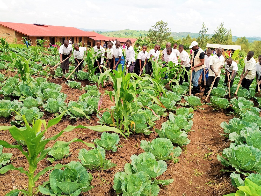 Formation action des élèves sur lentretien des champs de légumes