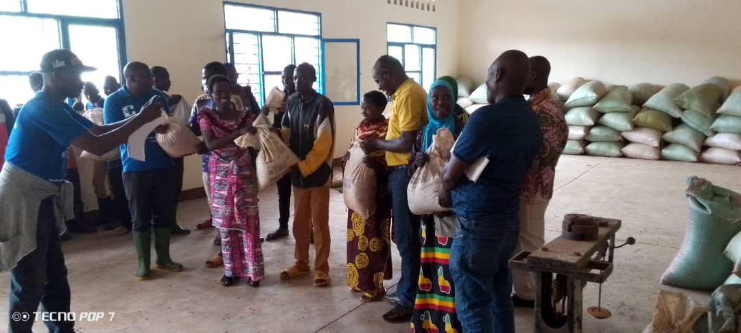 Disponibilisation des semences améliorées de haricots pour la saison culturale B 2025 à Buhinyuza